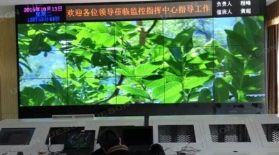 文章附图